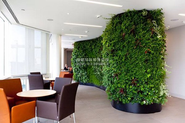 辦公室裝修完以后擺放什么綠植好？